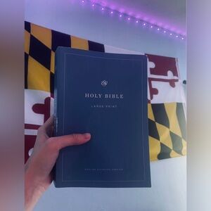 Blue Holy Bible Large Print